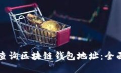 如何查询区块链钱包地址:全面指南