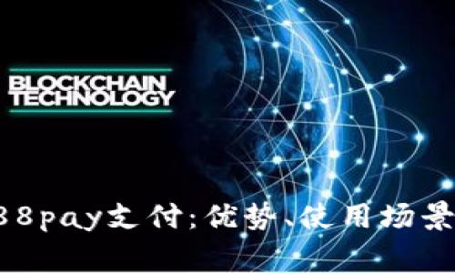 全面解析988pay支付：优势、使用场景及常见问题