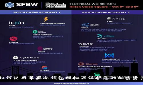 如何使用苹果冷钱包模拟器保护您的加密资产