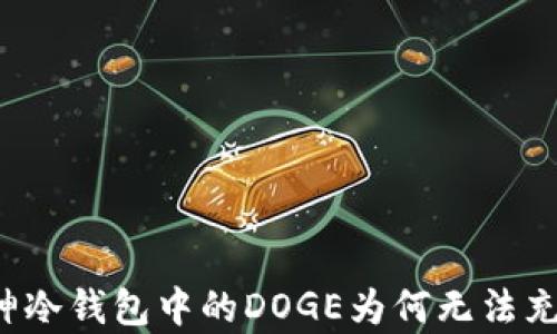 库神冷钱包中的DOGE为何无法充值?