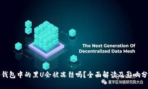 冷钱包中的黑U会被冻结吗?全面解读及影响分析