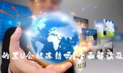 冷钱包中的黑U会被冻结吗?全面解读及影响分析
